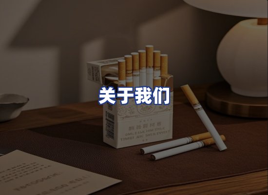 专业团队